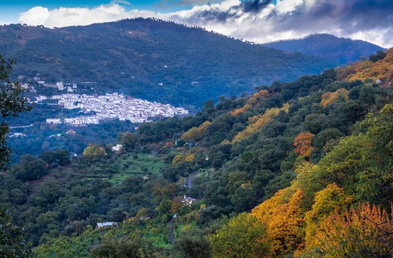 Apartmán La Marikilla Jubrique Exteriér fotografie