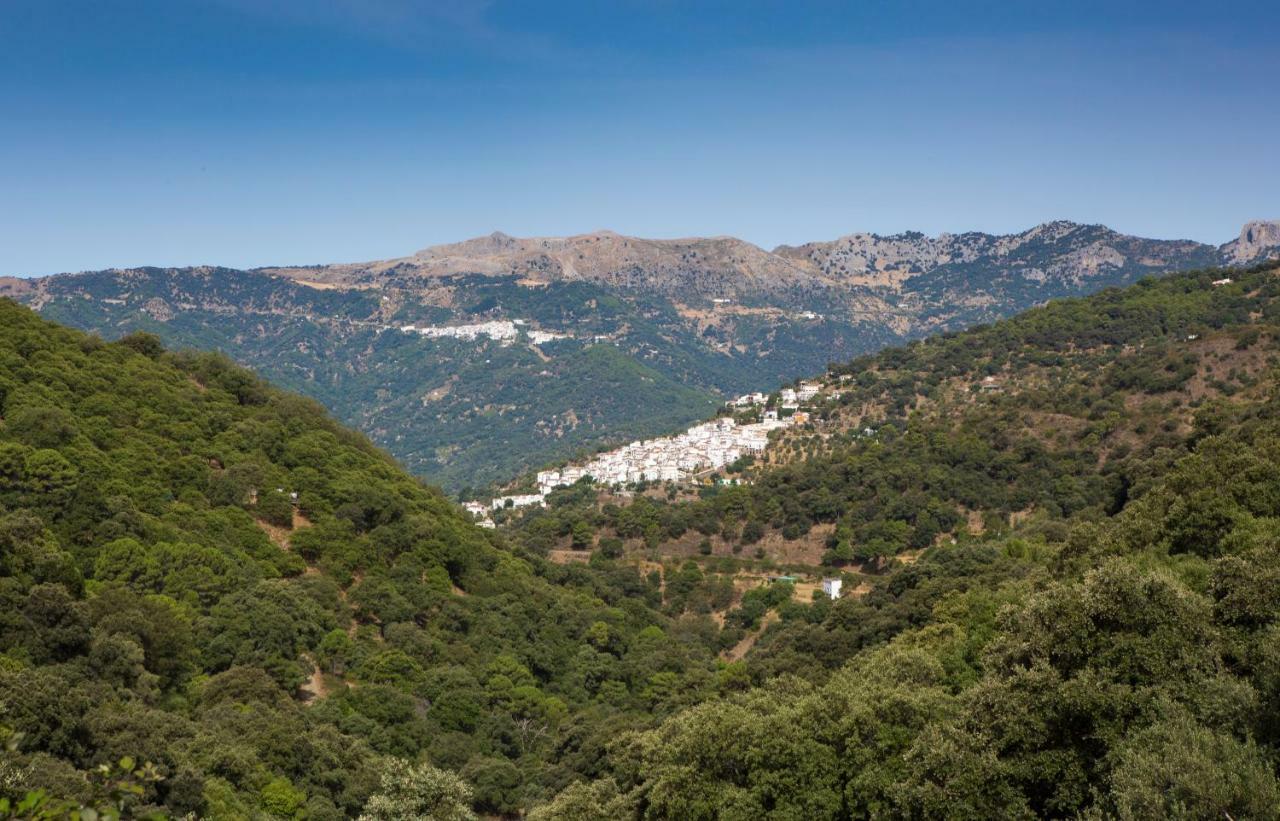 Apartmán La Marikilla Jubrique Exteriér fotografie